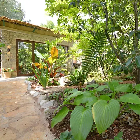 Ginko House Апартаменты *