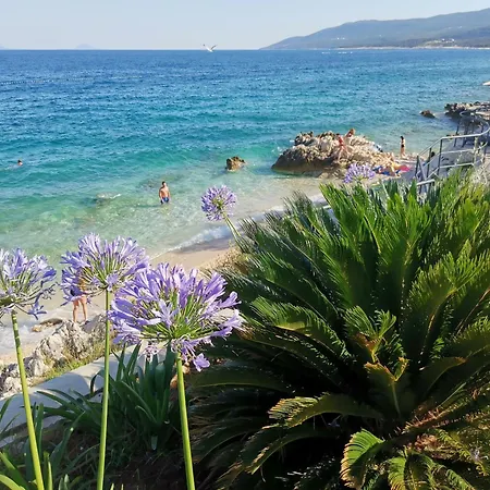 Apartament Ginko House *