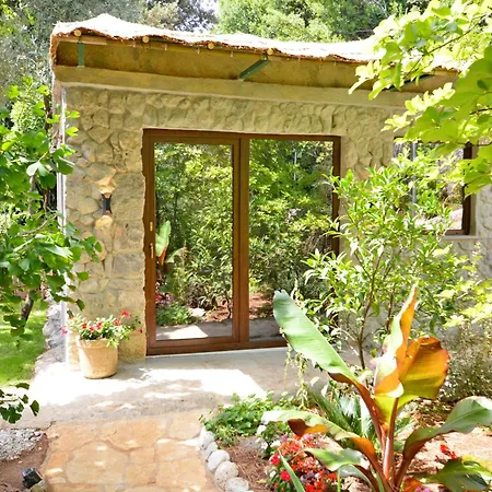 Апартаменты Ginko House