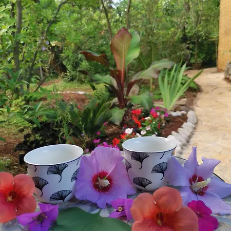 Ginko House Apartamento *