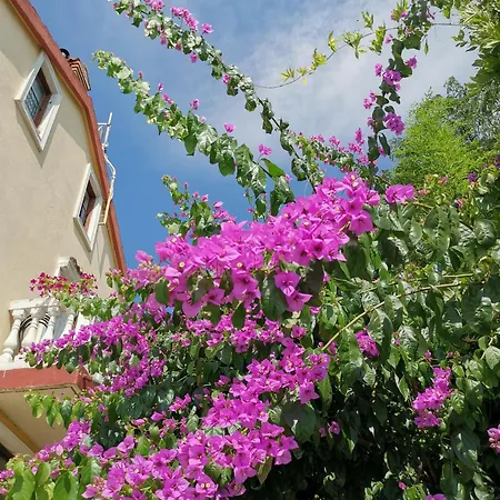 Apartamento Ginko House *