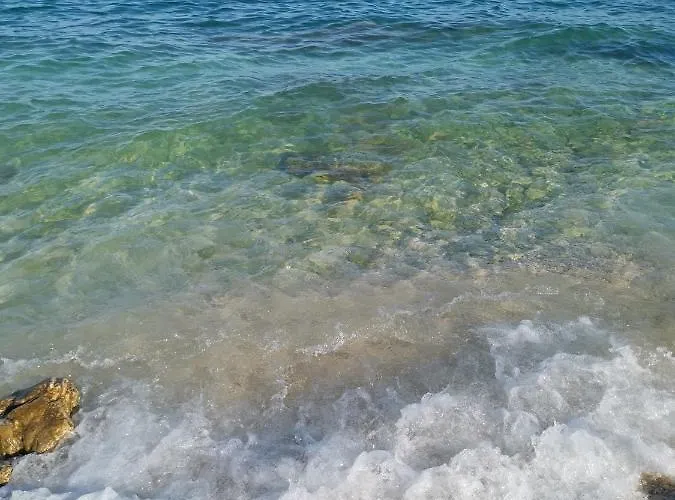 Ginko House דירה *