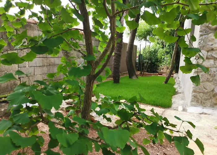 Ginko House * אופטיה