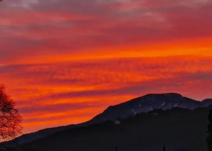 דירה Ginko House *