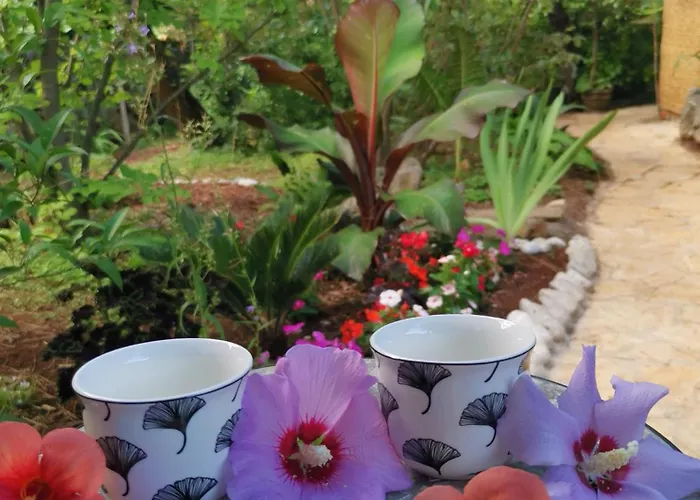 Ginko House דירה *