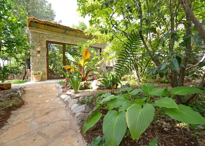 Ginko House דירה *