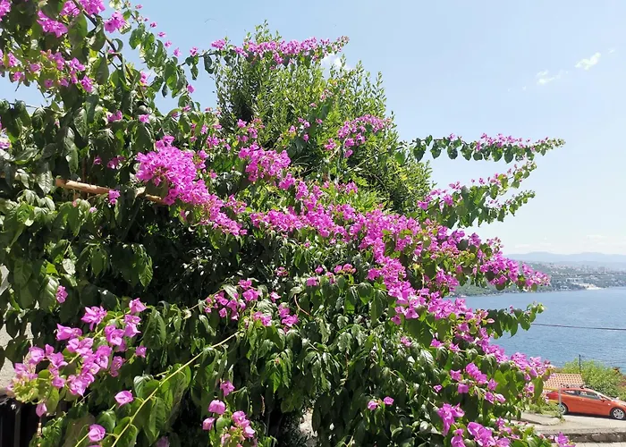 דירה Ginko House