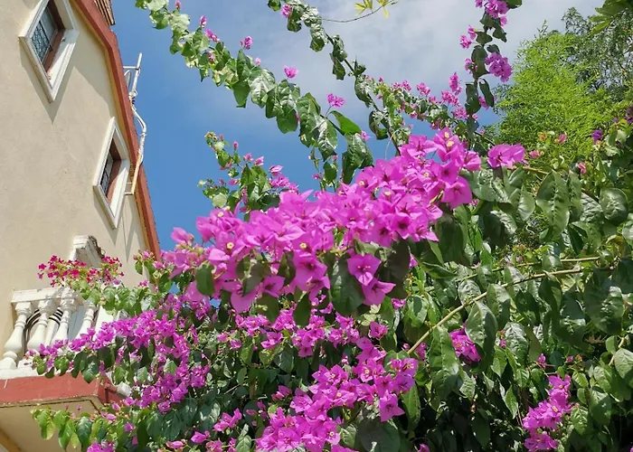 דירה Ginko House *